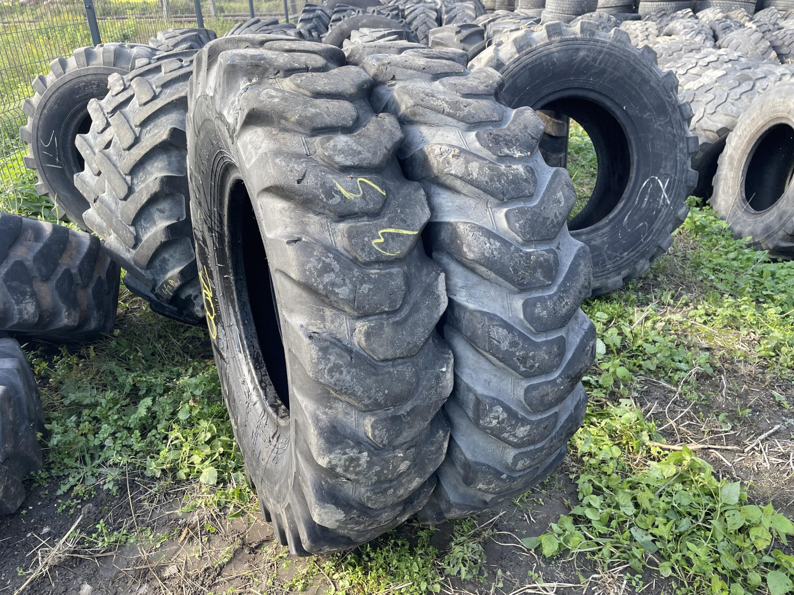 IMG_0148 (Copy) (Copy)